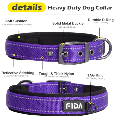 Padded Dog Collar for Small Dogs with Metal Belt Buckle (Small(11”-14.5“) / Purple)