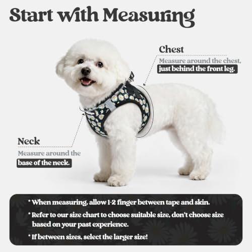 Dog Harness Small Sized and Leash Set (Midnight Daisy / Xs (chest: 13.3 - 15.5"))