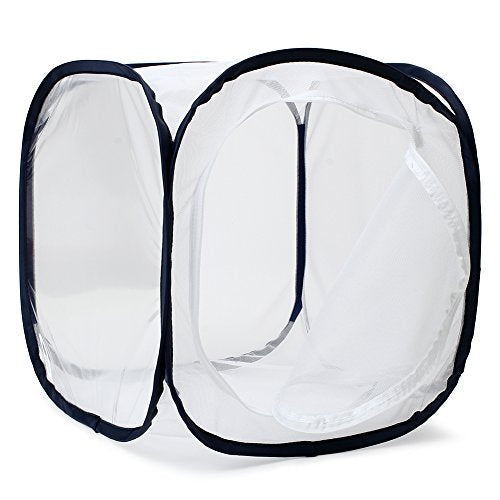 Insect and Butterfly Habitat Cage Terrarium Pop (White With Black / 12 x 12 x 12 inches)