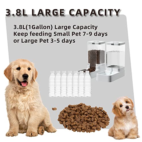 Gravity Pet Feeder and Water Dispenser Set (Water Feeder & Food Feeder)