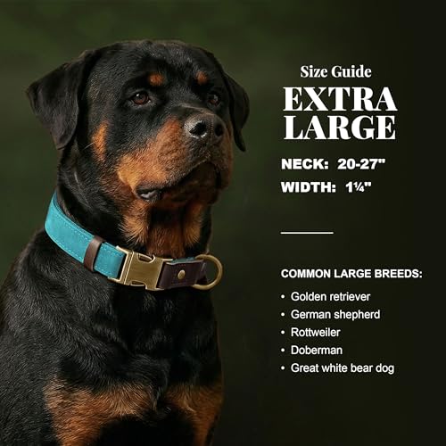 PU Leather Dog Collar for Large Dogs (Light Blue / XL: Neck 20-27", Width 1¼")