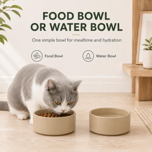 Cat Bowls Set of Two (Greige)