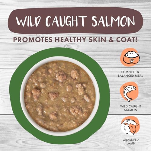 Classic Cat Stews! (2.8 Ounce (Pack of 12))