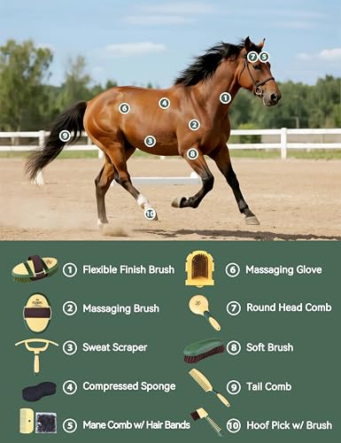 Horse Grooming Kit (Pasture Glow)