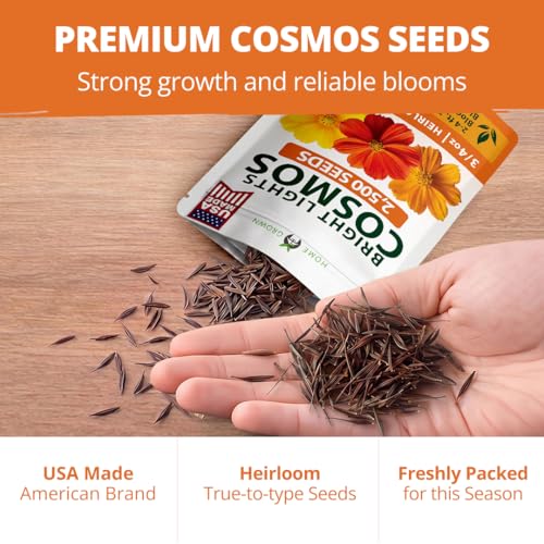 Cosmos Bright Lights Mix 2500 Flower Seeds Cosmos sulphureus