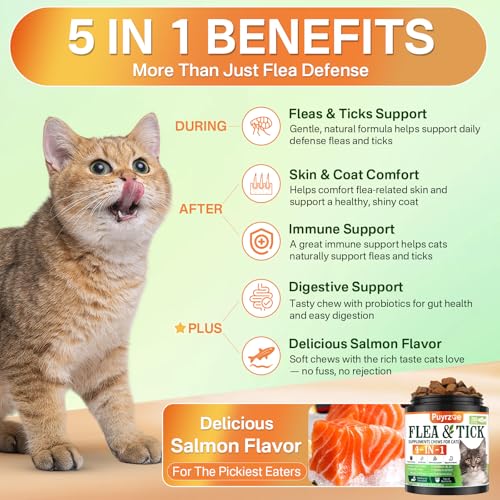 Flea and Tick Prevention for Cats
