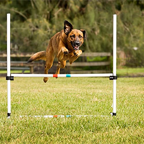 Dog Agility Bar Jumps