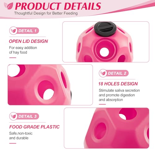 15.75" Extra Large Slow Feed Hay Ball for Horses (Pink)