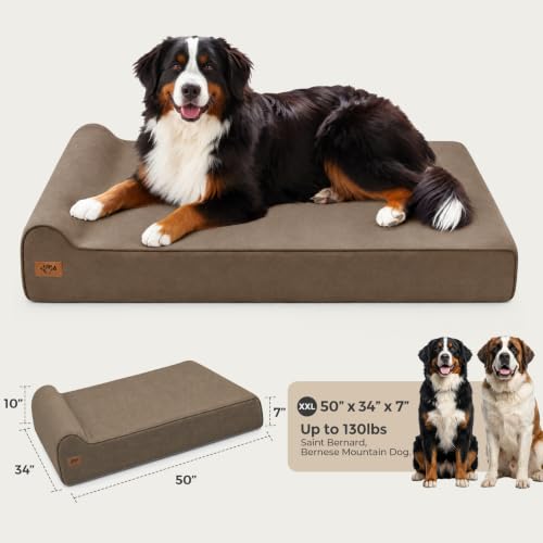 XXL 35D Memory Foam Dog Bed for Extra Large Dogs (XX-Large / Brown)