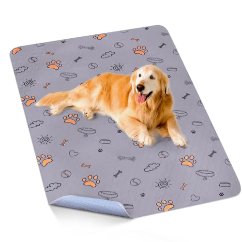 Washable Pee Pads for Dogs (Purple / 48X60 (1 Pack))