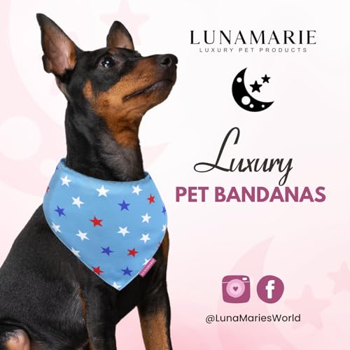 Luxury Pet Birthday Bandanas (Liberty / Small)