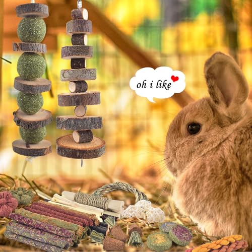 100PCS Rabbit Chew Toys (100)