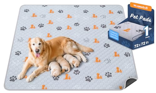Washable Pee Pads for Dogs (Orange / 72"x72" (Pack of 1))