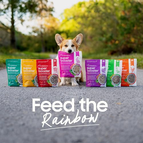 Freeze Dried Dog Treat or Topper with Probiotics (1.13 Pound (Pack of 1))