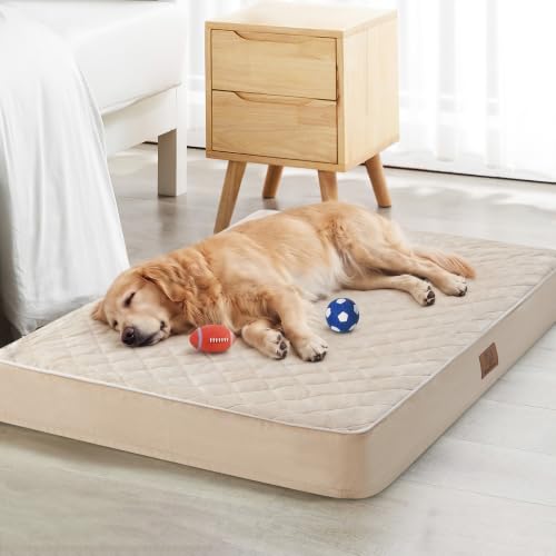 Orthopedic Waterproof Extra Large Senior Dogs Bed for Comfy Sleep (Beige / 42"L x 30"W x 4"Th)