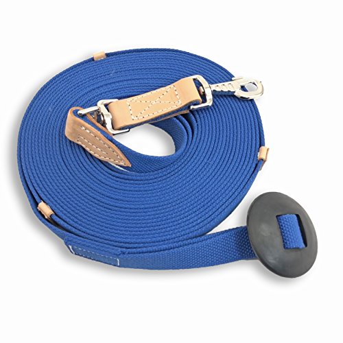 35' Flat Cotton Web Lunge Line with Bolt Snap & Rubber Stop (Sapphire / 35')