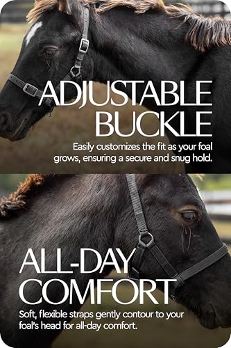 Adjustable Mini Horse Halter (Black / Foal)
