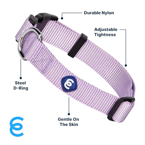 Essentials Lavender Dog Collar for Large Dogs (Large / Lavender)