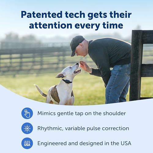 Core Dog Trainer Remote Collar (1-Dog Trainer)