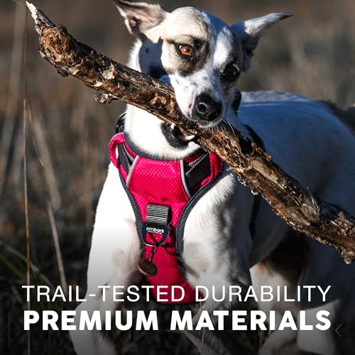 Embark No Pull Dog Harness (S / Red)