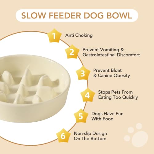 Elevated Slow Feeder Dog Bowls (Light Yellow)
