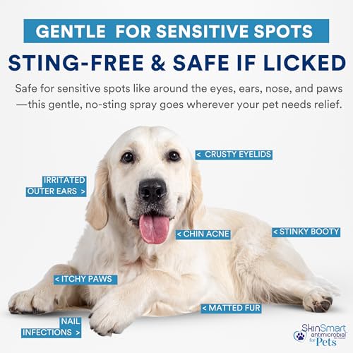 Wound Care for Pets