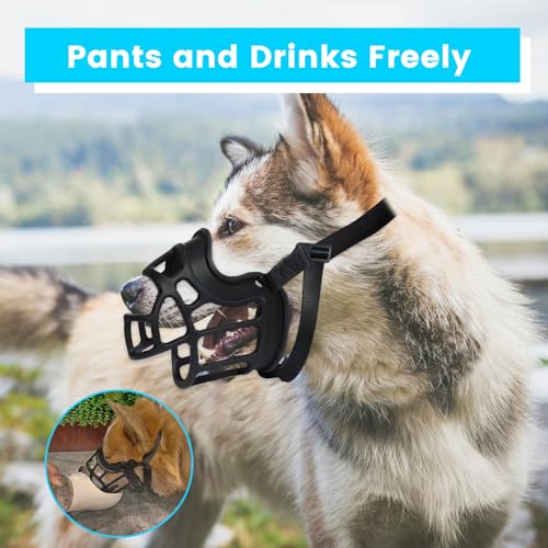 Dog Muzzle Basket Muzzle for Small Medium Large Dogs (Black / Size 1)