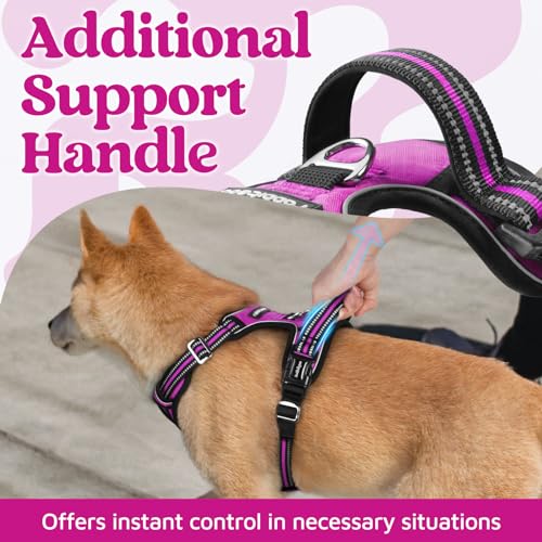 Dog Harness Medium Sized (Purple / Medium)