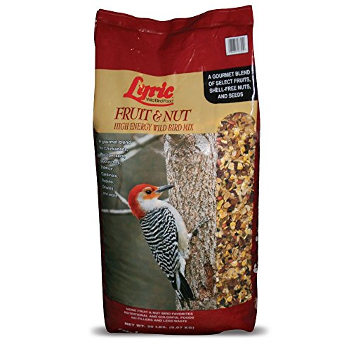 Fruit and Nut Wild Bird Seed (20 Pound (Pack of 1))