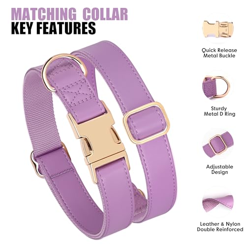 Soft PU Leather Dog Collar (S: Fit 9-14" Neck(10-20 lbs) / Purple)