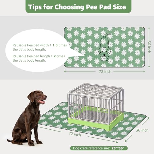 Washable Puppy Pads (Green Daisy / 36"x72"(Pack of 2))