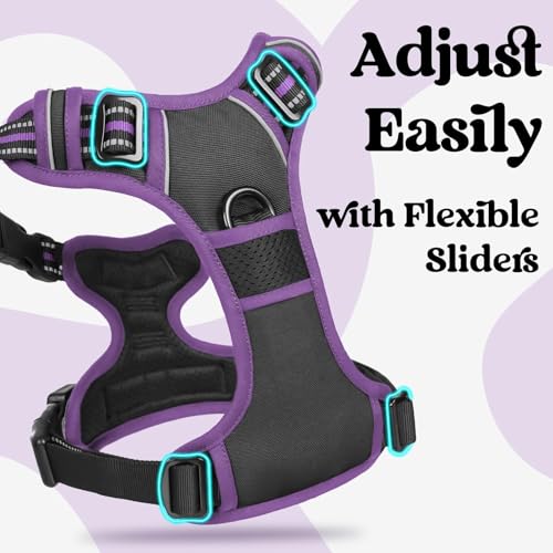 Dog Harness Medium Sized (Black & Purple / Medium)
