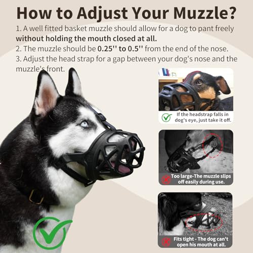 Basket Dog Muzzle for Large Medium Small Dogs German Shepherd (Small / Black)