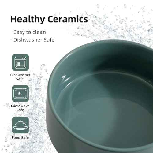 Raised Cat Bowl 6.1” Elevated Ceramic Cat Food and Water Bowl (Dark Green)