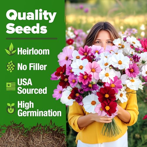 Cosmos Flower Mix Seeds