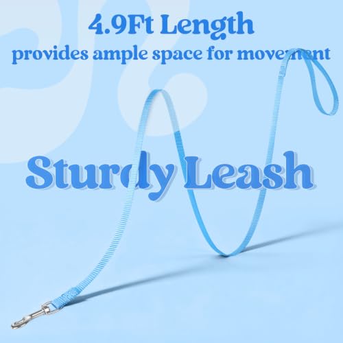Cat Harness and Leash Set (XL / Blue & Light Blue)