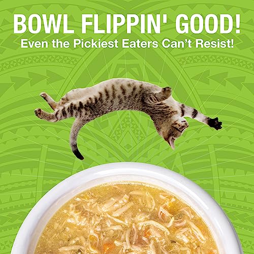 Pure Shreds Chicken and Duck Entrée for Cats (5.5 Ounce (Pack of 12))