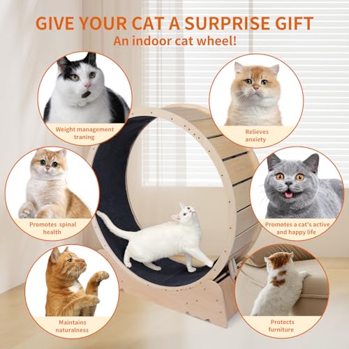 Large Cat Exercise Wheel 40 Inch Treadmill Exerciser for Indoor Cats Love Kitty Running Toy Walking Training for Fitness Weight Loss Device Suitable for Most Cats Physical Exercise Activity (Wood)