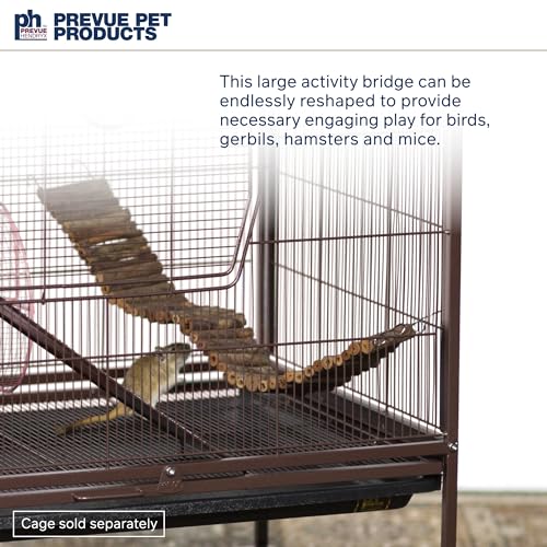 Natural Large Wonder Walk Bird & Small Animal Ladder (Large)