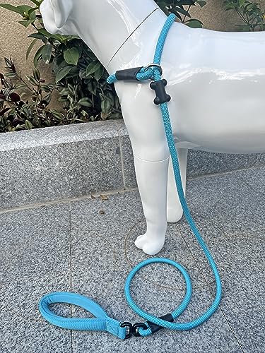 Slip Lead Dog Leash (1/2"×6ft / Blue)