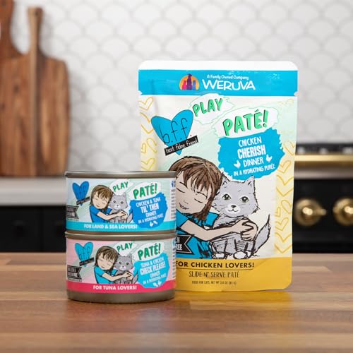 B.F.F. Play Best Feline Friend Paté Lovers (3 Ounce (Pack of 12))