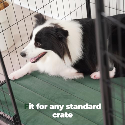 Dog Crate Pad (24.0"L x 18.0"W x 0.8"Th / Green, 1 Pack)