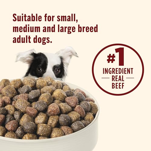 Nutrish Real Beef (14 Pound (Pack of 1))