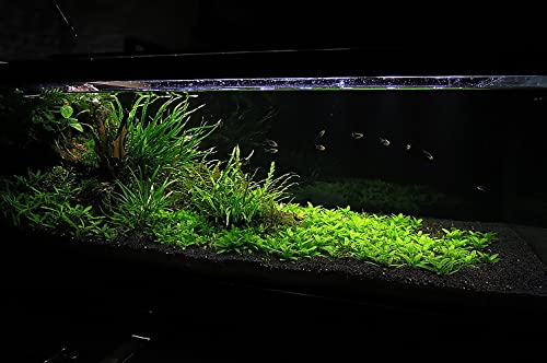 Controsoil Freshwater Aqua Soil Substrate for Fish (1 Liter (0.9 kg) / Black - Fine)