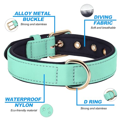 Soft Padded Dog Collars for Large Dogs (Green / XL: Fit 17-23" Neck)