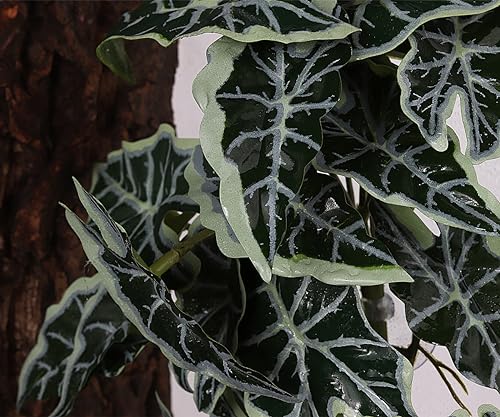 Snake Enclosure Plants (Fake Alocasia Black Velvet)