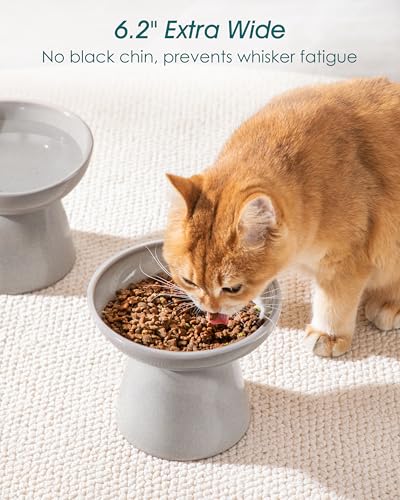 2 Pack Extra Wide Elevated Cat Bowls (Grey)