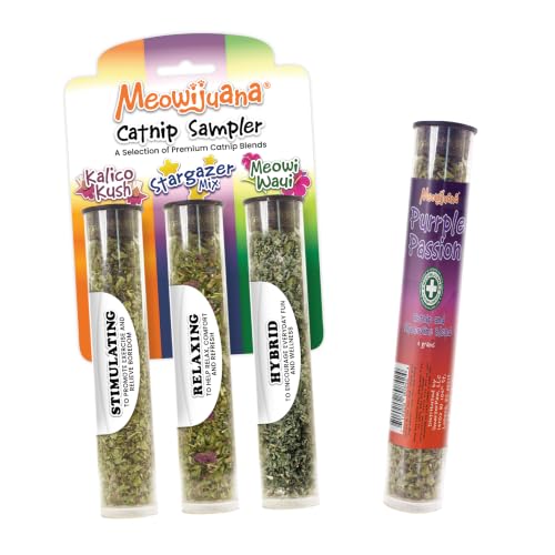 Catnip Sampler Bundle
