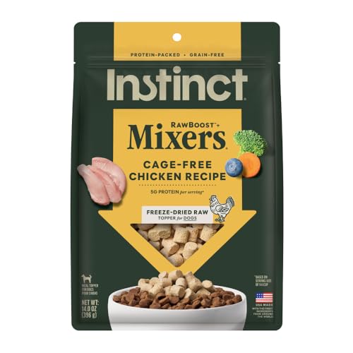 Raw Boost Mixers (14 Ounce (Pack of 1))