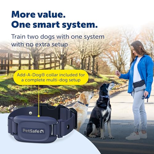 Pro Dog Trainer (2-Dog Trainer)